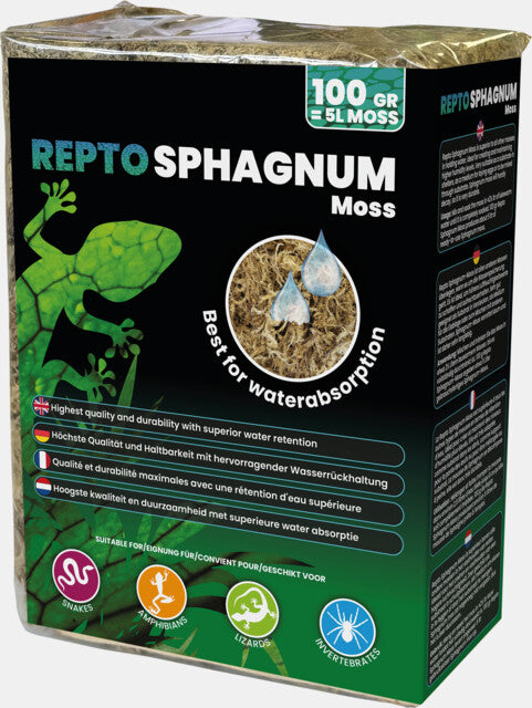 REPTO MOUSSE DE SPHAIGNE 100G