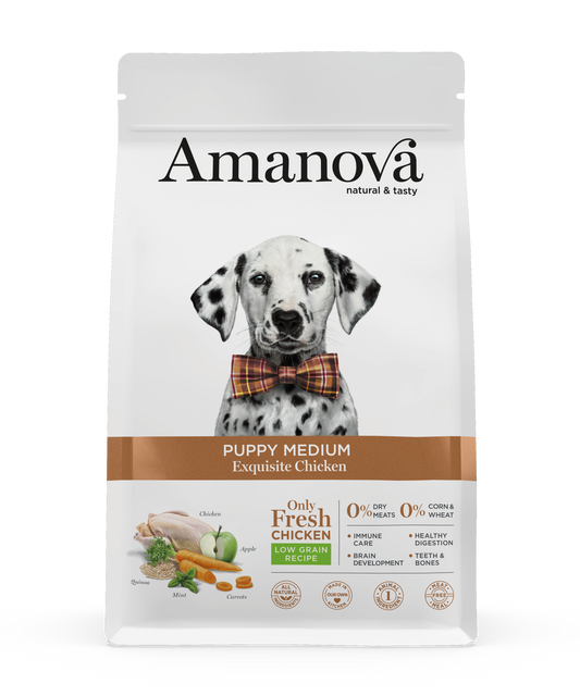 Puppy Medium- Exquisite Chicken 2kg