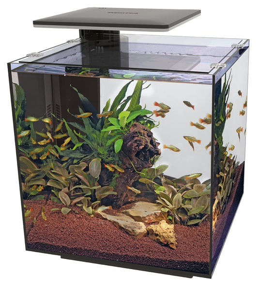 SuperFish qubiq 60 pro noir