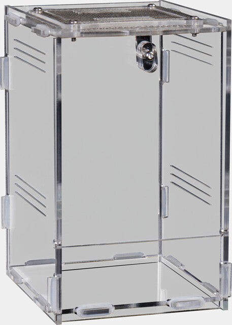 Repto Terra Clear 11,5x10x16,5