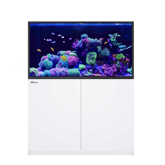 Red Sea Reefer S 550 G3 blanc (aqua + mbl)