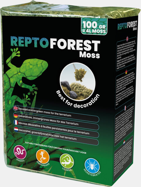 REPTO MOUSSE DE FORET 100G