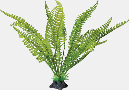 Repto Plante Fougère Debout 30x22x32 cm