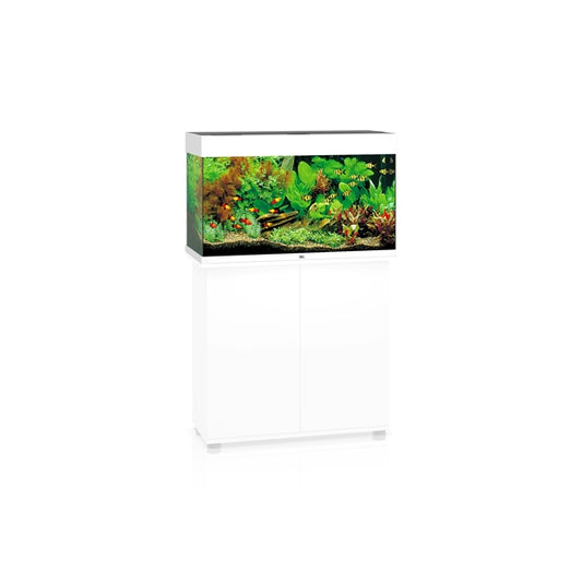 aquarium rio 125 led blanc
