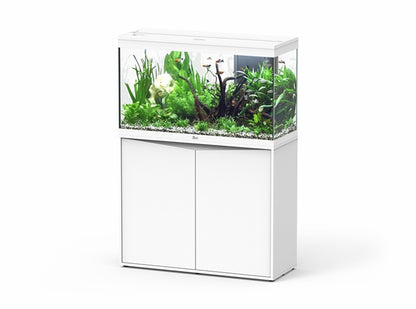 Aquatlantis Aquarium splendid Ultra 100 blanc + biobox 2