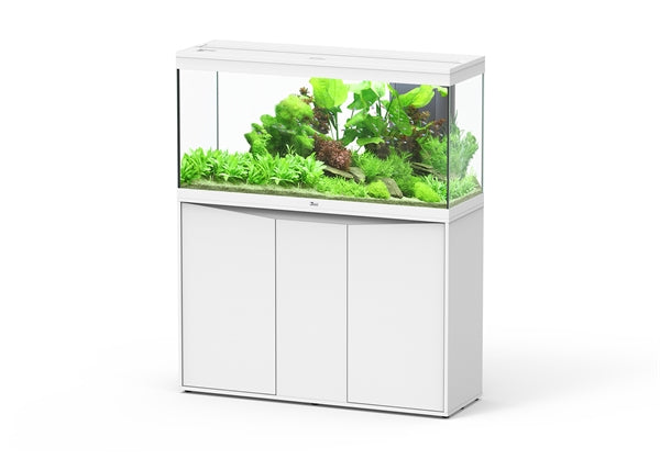 Aquatlantis Aquarium splendid  Ultra 120 blanc + biobox 2