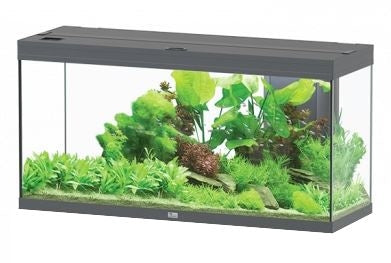 Aquatlantis Aquarium splendid Ultra 120x40 anthracite +biobox 2