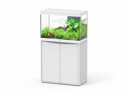 Aquatlantis Aquarium splendid Ultra 80 blanc + biobox 2