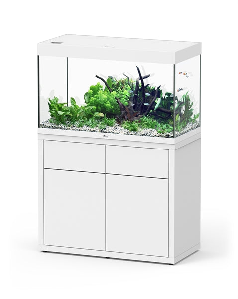 Aquatlantis Aquarium Sublime Ultra 100 x 50 blanc + biobox 3 2