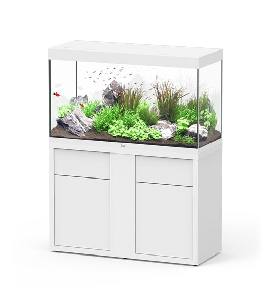 Aquatlantis Aquarium Sublime Ultra 120 x 50 blanc + biobox 3 2