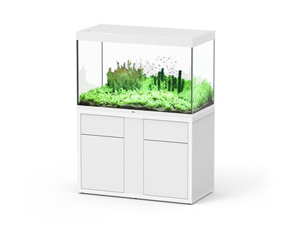 Aquatlantis Aquarium Sublime Ultra 120 x 60 blanc + biobox 3 2