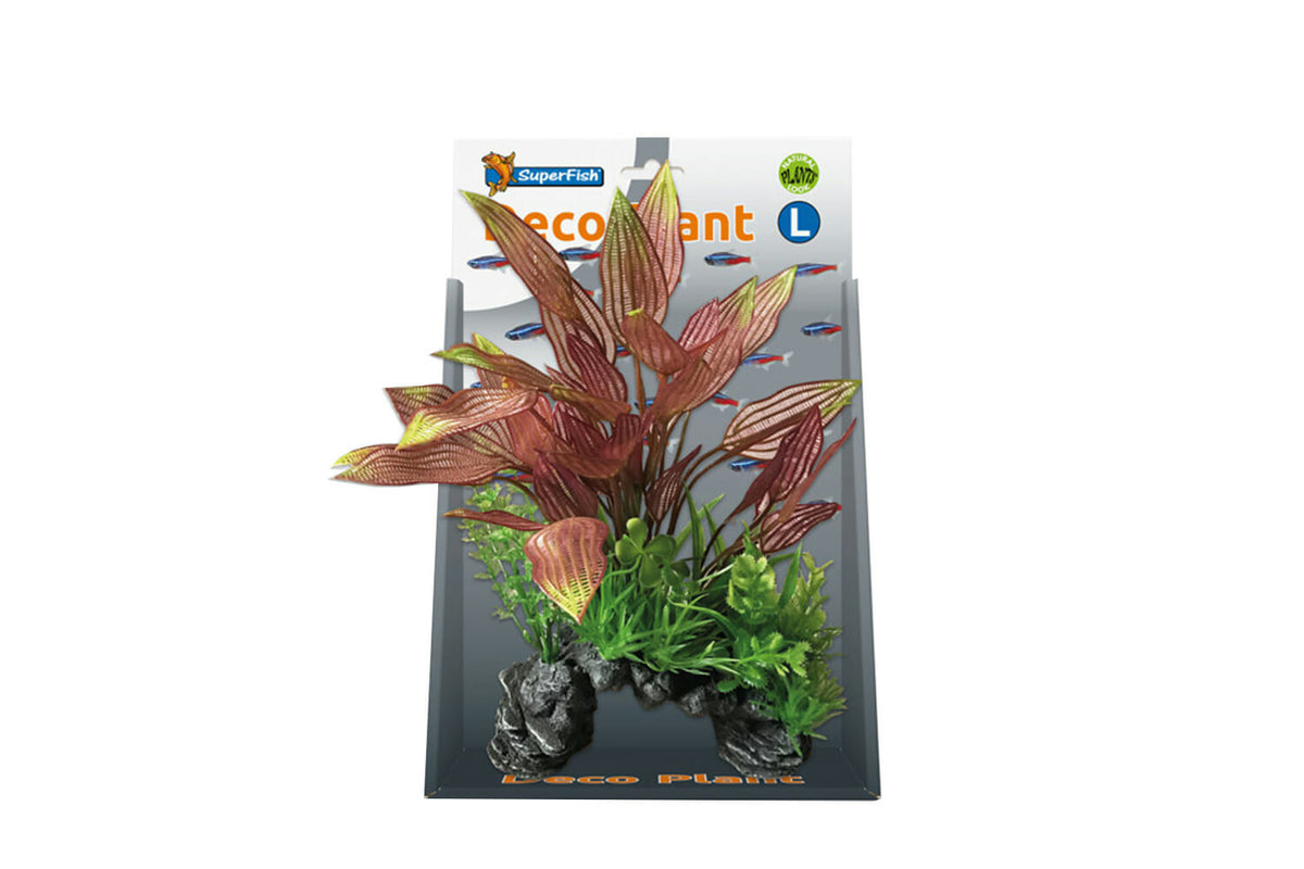 SuperFish DecoPlant Henekelianus L