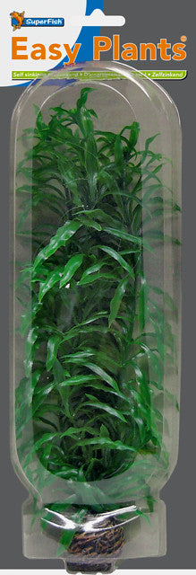 Easy Plants Haute 30 cm