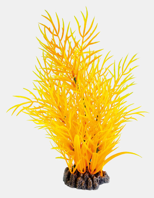 Orange 25 cm