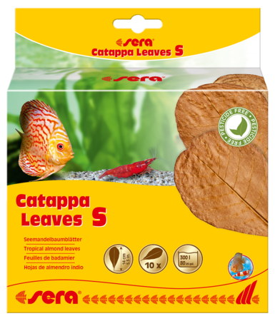Sera Catappa S