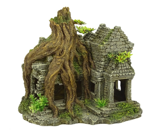 Blue Belle Pacific Ankor tree house