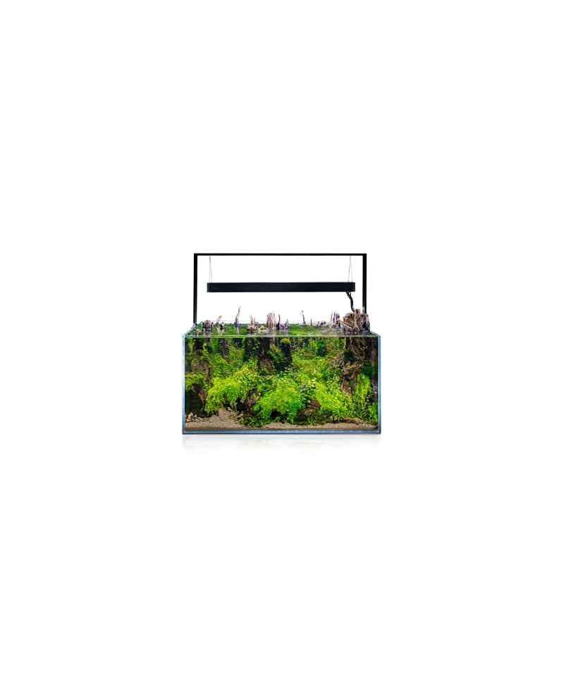 Aquael ultrascape 90 forest (240l)