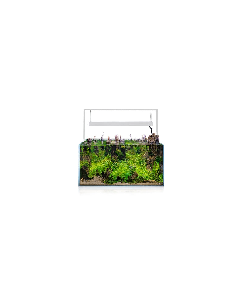 Aquael ultrascape 90 snow (240l)