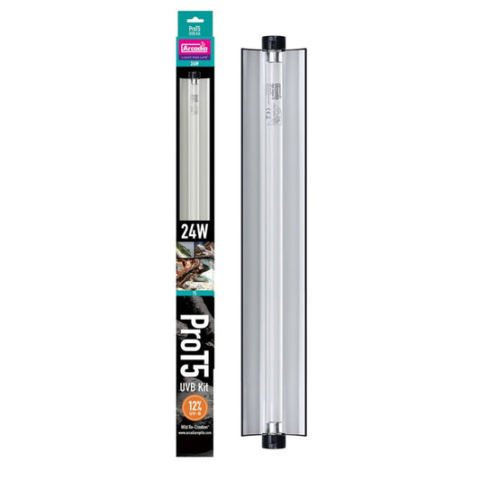 Pro T5 set desert 12% UVB 24 Watt