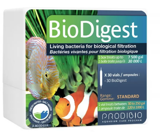 Biodigest 30 ampoules