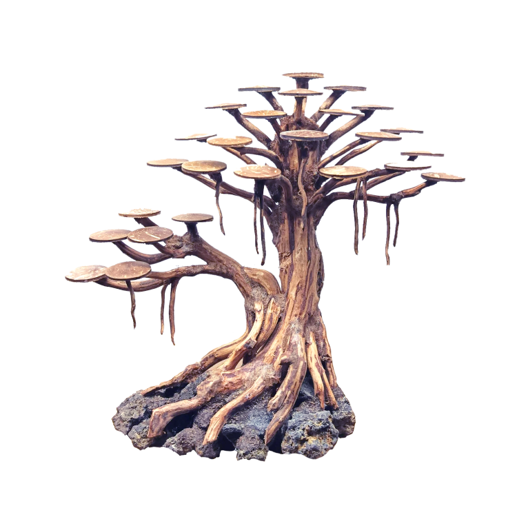 Bonsai Rasamala M