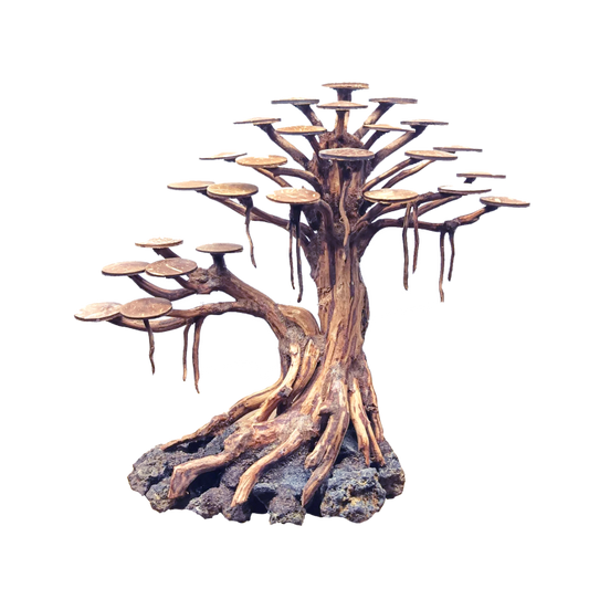 Bonsai Rasamala M