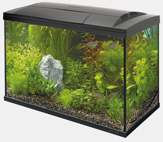 Superfish start 100 tropical kit noir