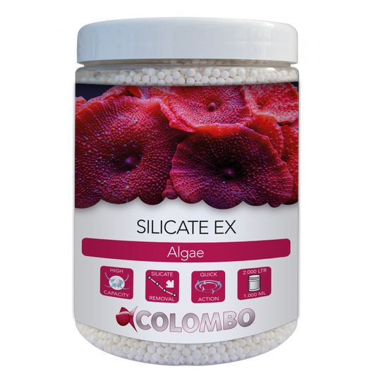 Colombo silicate ex 1l