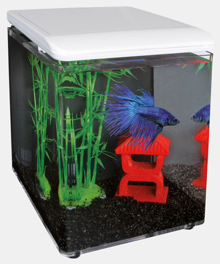Superfish home 8 blanc
