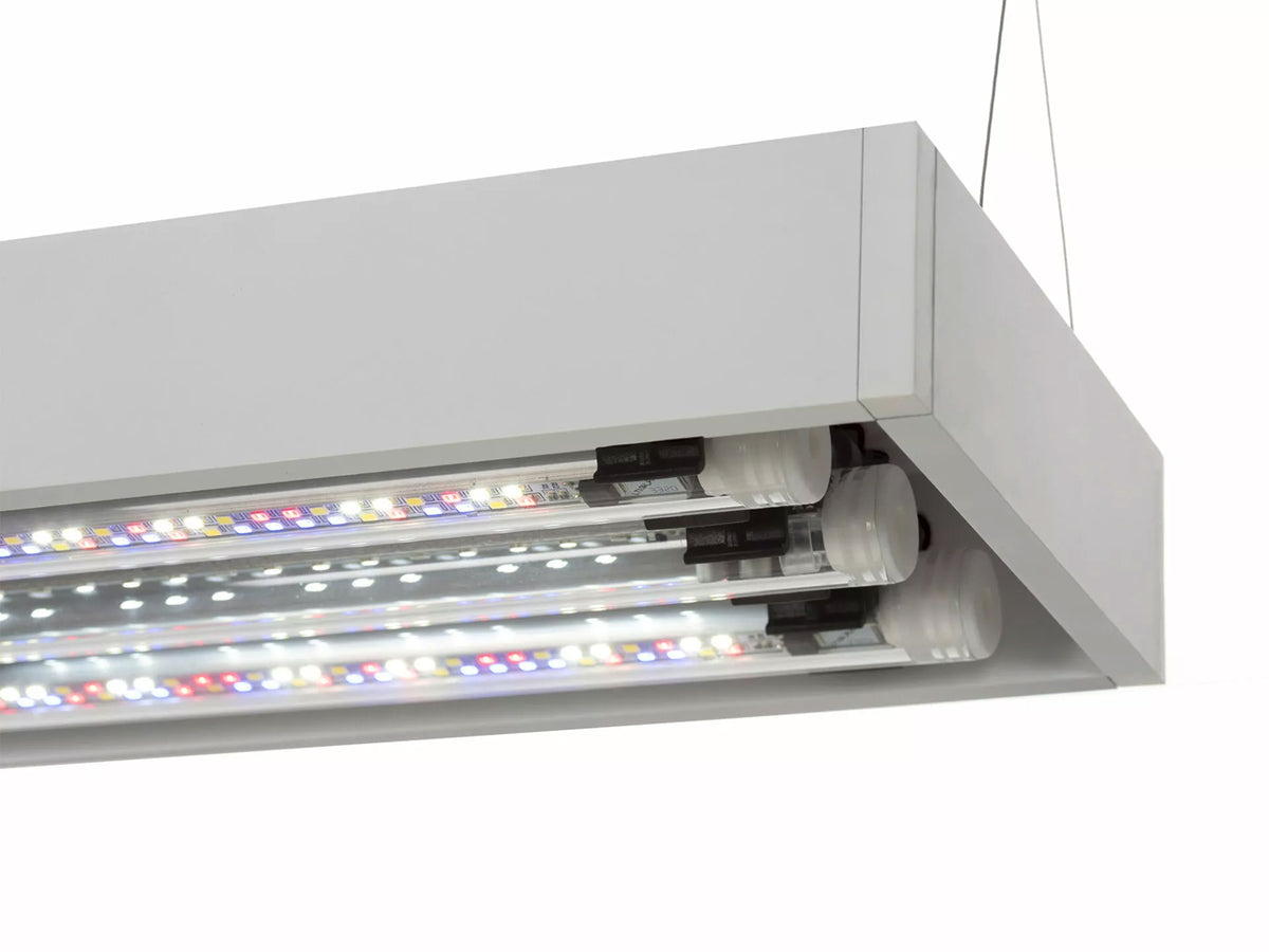Aquael ultrascape 60 snow (64l) 3