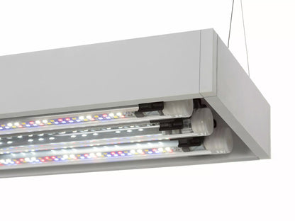 Aquael ultrascape 60 snow (64l) 3