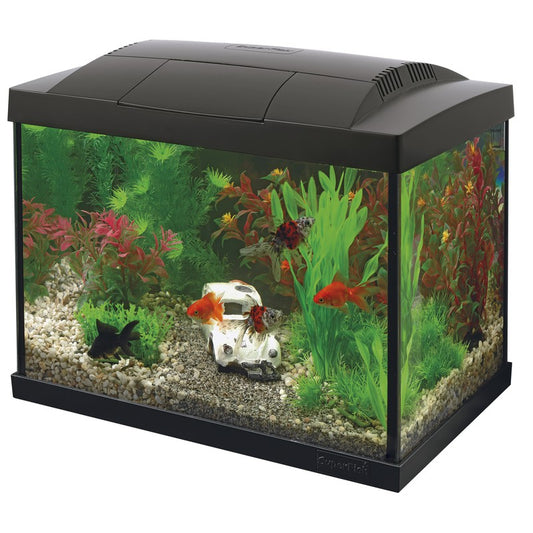 Superfish start 20 goldfish kit noir