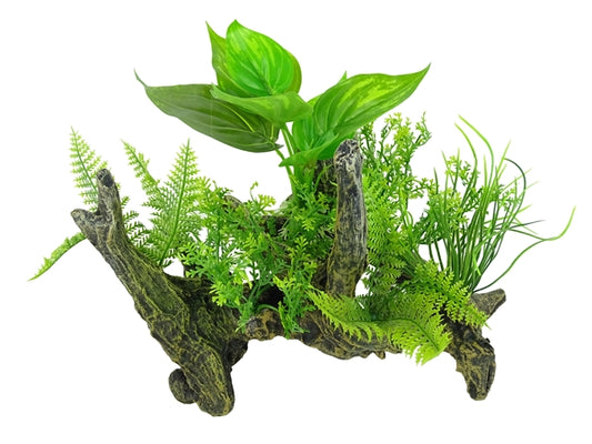 aquascape 2