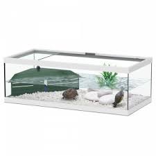 tortum 55 blanc