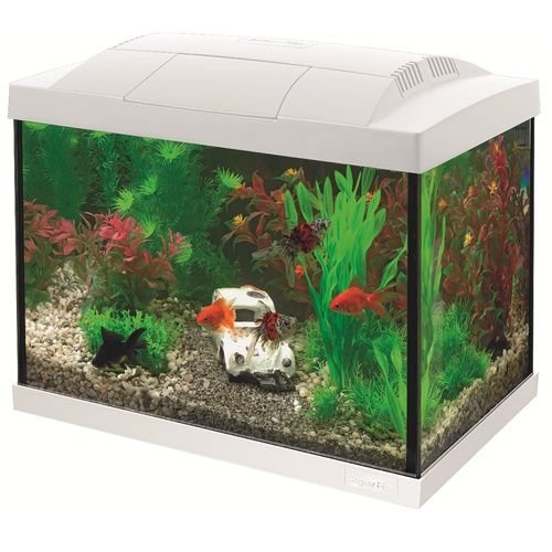 Superfish start 20 goldfish kit blanc