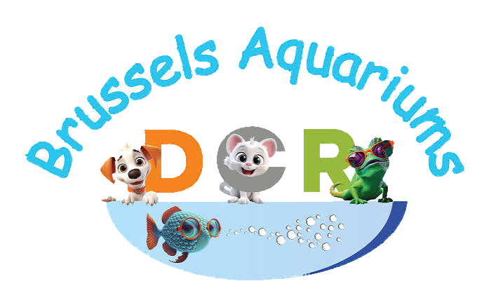 Brussels Aquariums