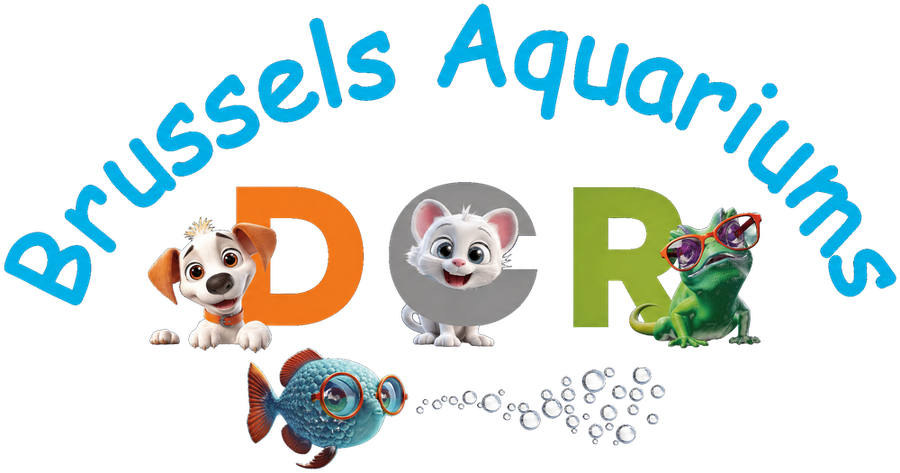 Brussels Aquarium