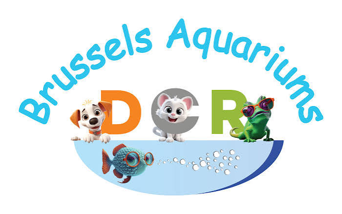 Brussels Aquariums