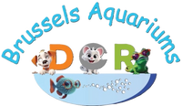 Brussels Aquarium