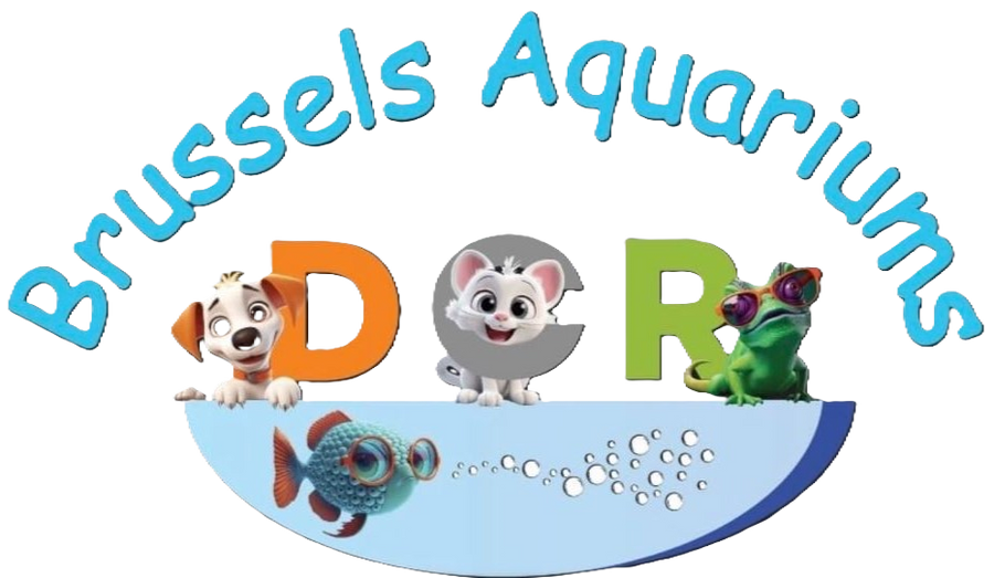 Brussels Aquarium