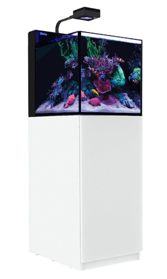 MAX NANO G2 XL avec meuble blanc