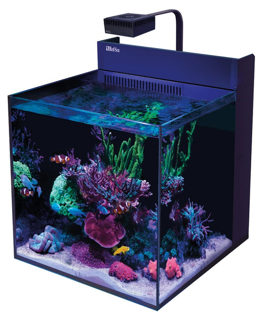 MAX NANO G2 XL sans meuble
