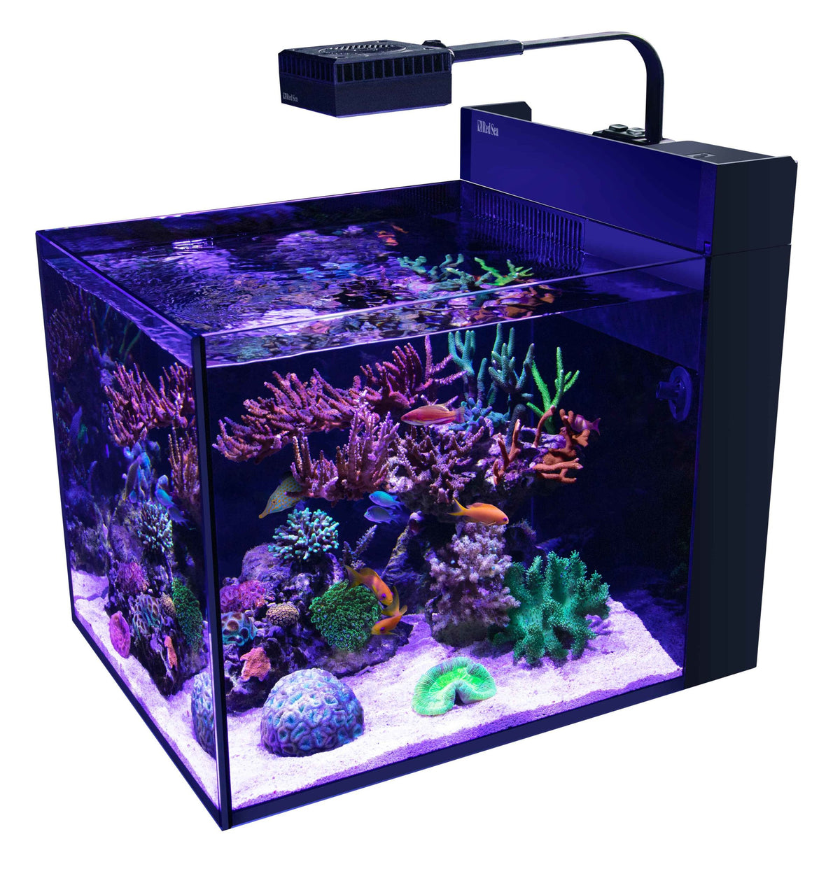 Red Sea MAX NANO Peninsula G2 + meuble noir 2