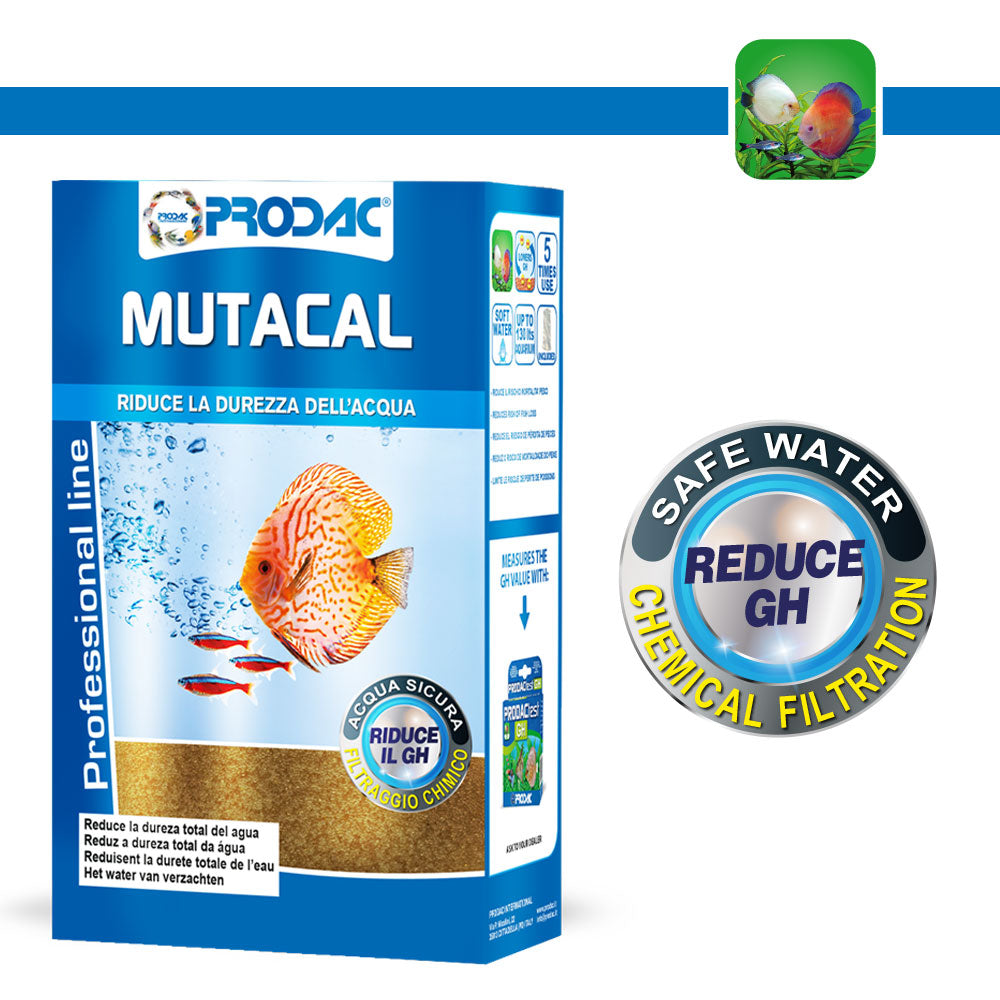 Mutacal