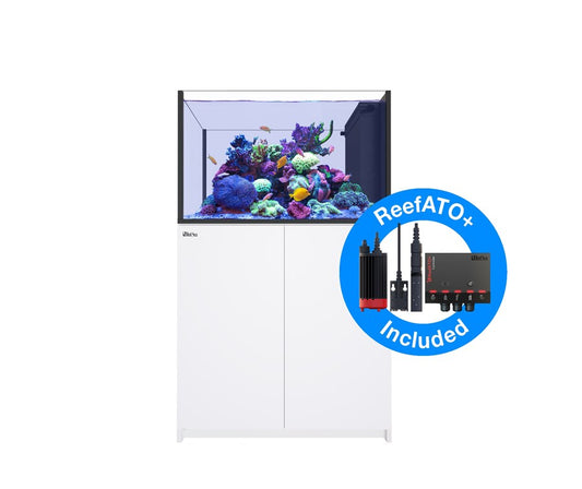 Red Sea Reefer Peninsula 350 G3 Blanc (Aqua + mbl)
