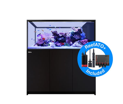 Red Sea Reefer Peninsula S 700 G3 noir (Aqua + mbl)