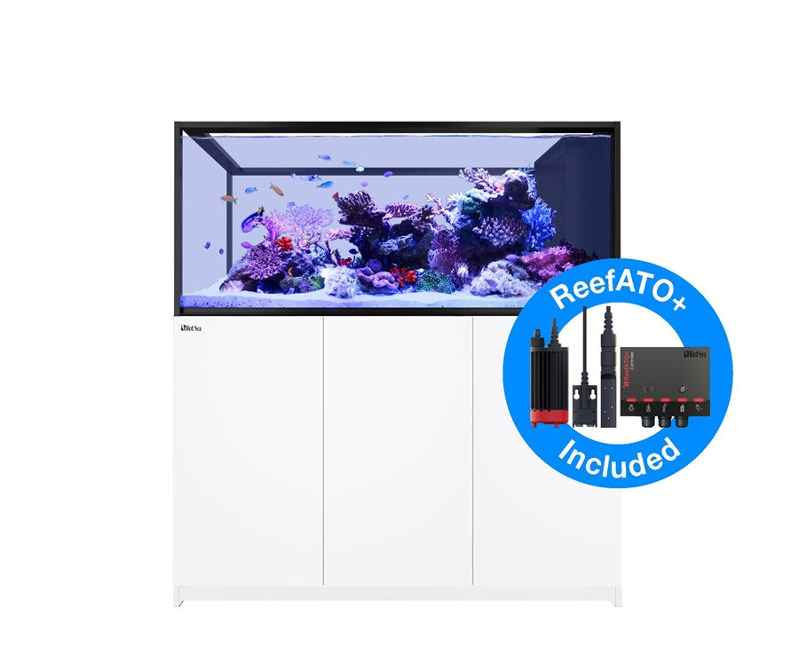 Red Sea Reefer Peninsula S 700 G3 blanc (Aqua + mbl)