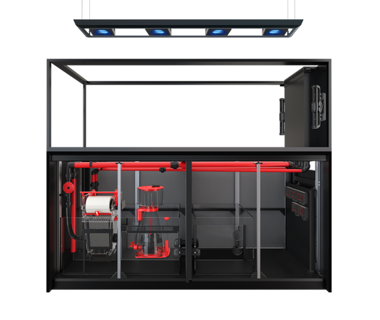 Red Sea Reefer MAX Peninsula S 950 G3 blanc
