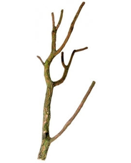 RAMIFIE EN LIEGE NATUREL S < 50 cm