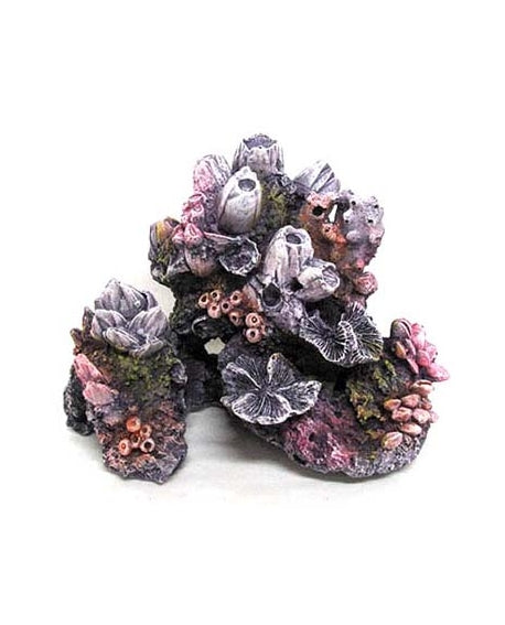 REEF ROCK SERIES MD3 19.7x11.8x15cm